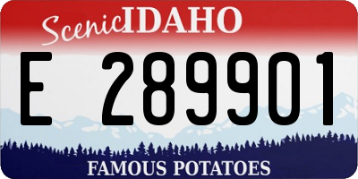 ID license plate E289901