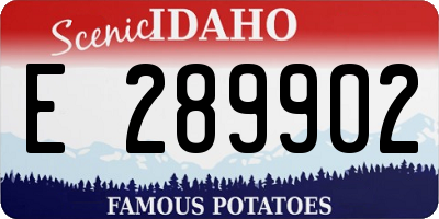 ID license plate E289902