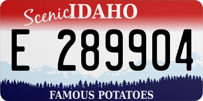ID license plate E289904