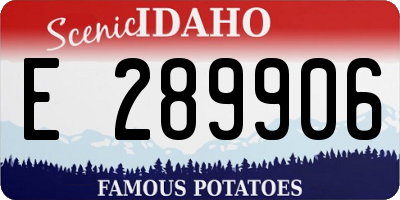 ID license plate E289906