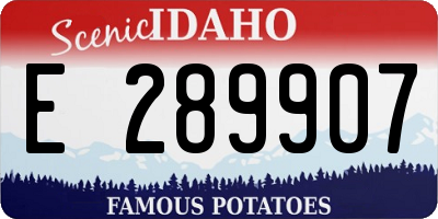 ID license plate E289907