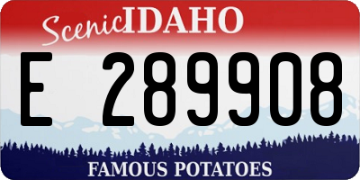 ID license plate E289908