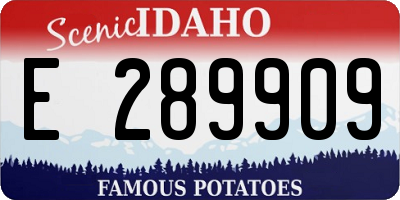 ID license plate E289909