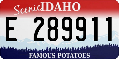 ID license plate E289911