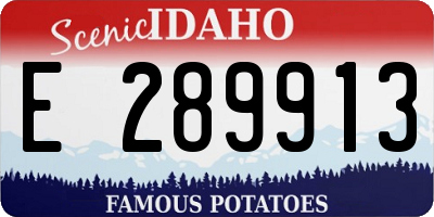 ID license plate E289913