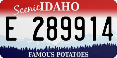 ID license plate E289914