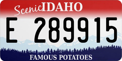 ID license plate E289915