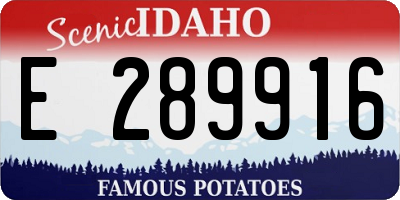 ID license plate E289916