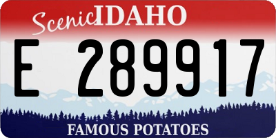 ID license plate E289917