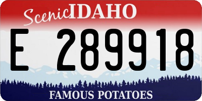 ID license plate E289918