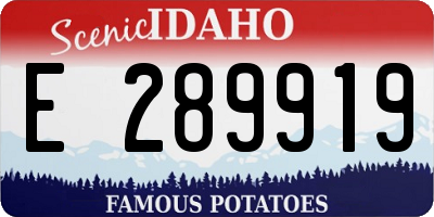 ID license plate E289919