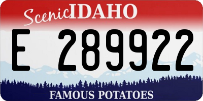 ID license plate E289922