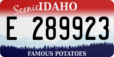 ID license plate E289923