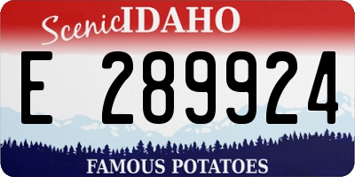 ID license plate E289924