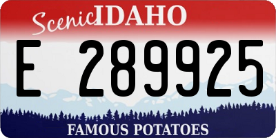 ID license plate E289925