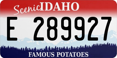 ID license plate E289927