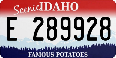 ID license plate E289928