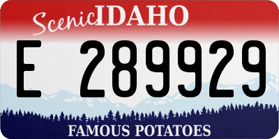 ID license plate E289929