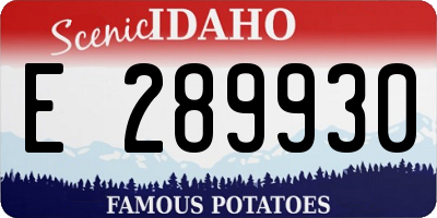 ID license plate E289930