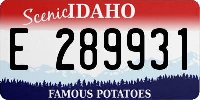 ID license plate E289931