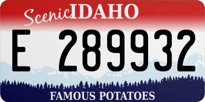 ID license plate E289932