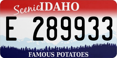 ID license plate E289933