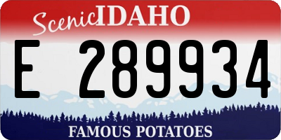 ID license plate E289934