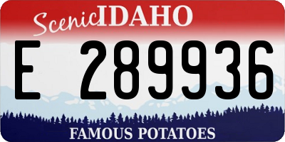 ID license plate E289936
