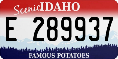 ID license plate E289937
