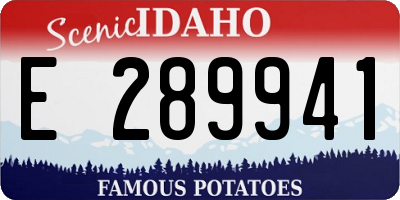 ID license plate E289941