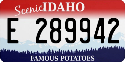 ID license plate E289942