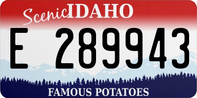 ID license plate E289943