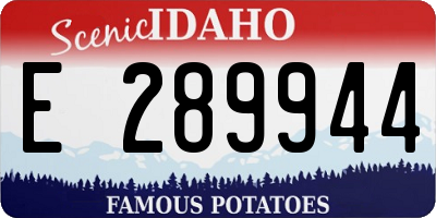 ID license plate E289944