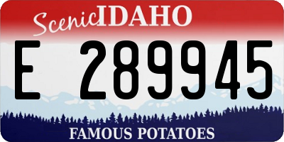 ID license plate E289945