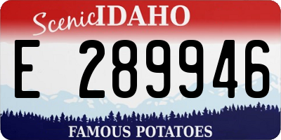 ID license plate E289946