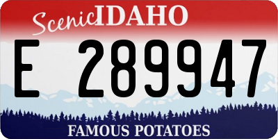 ID license plate E289947