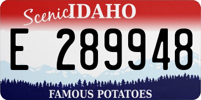 ID license plate E289948