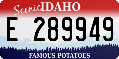ID license plate E289949