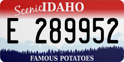 ID license plate E289952