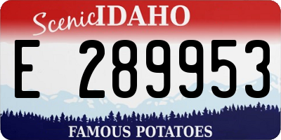 ID license plate E289953