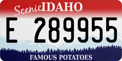 ID license plate E289955