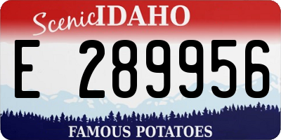 ID license plate E289956