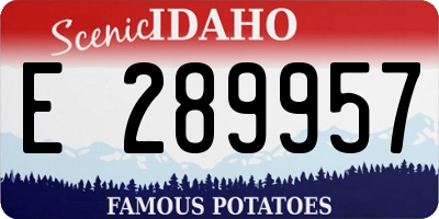 ID license plate E289957