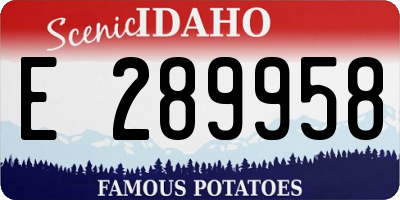 ID license plate E289958