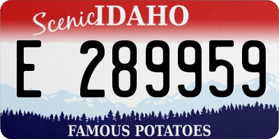 ID license plate E289959