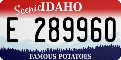 ID license plate E289960