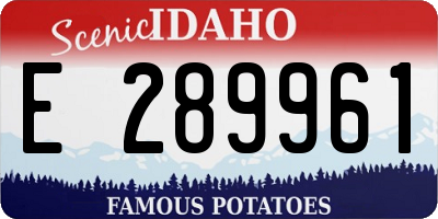 ID license plate E289961