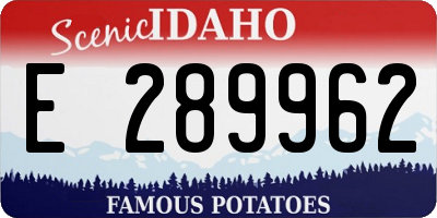 ID license plate E289962