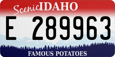 ID license plate E289963