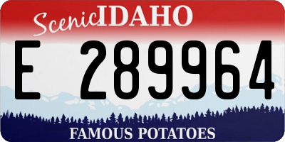 ID license plate E289964